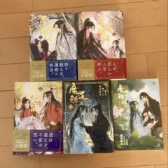 2025年最新】魔道祖師 小説 全巻の人気アイテム - メルカリ