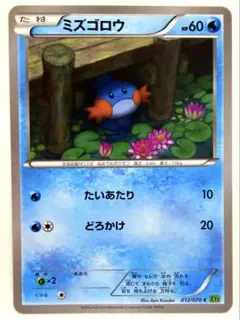 ミズゴロウ C XY5 タイダルストーム 012/070 たいあたり