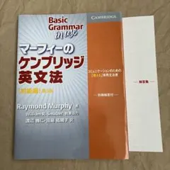 Basic Grammar in Use マーフィーの英文法 第3版