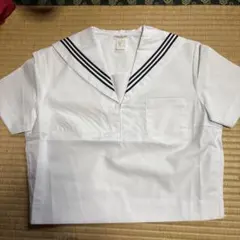 Item thumbnail for item 4efe9915-b119-413a-99ee-21d147beb533