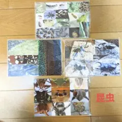 Item thumbnail for item 22290b61-94ee-4b2e-a4e3-a8bc36aa32de