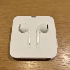 iPhone純正　イヤホン　Apple Lightning