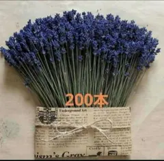 meg様 リクエスト 3点 まとめ商品