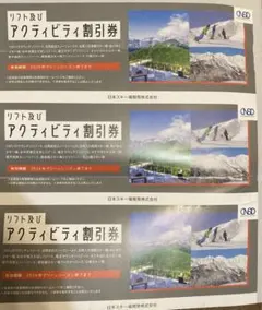 日本スキー場開発　リゾートアクティビティ割引券3枚セット