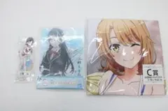 俺ガイル アクスタ マルチクロス アクリルボード 32-MY0329-08