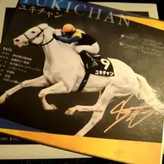 JRA 京都競馬場 ユキチャン 詳細 色紙カード