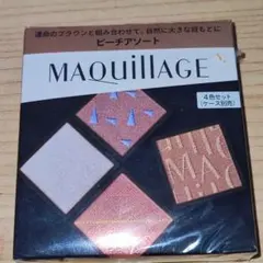 新品＊マキアージュ カスタマイズアイカラー アソート 03