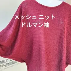 メッシュ　ドルマンスリーブ　七分袖　クルーネック　カットソー　ニット　ワイン色