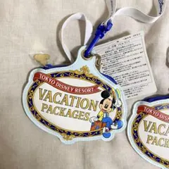 ディズニー パスケース バケーションパッケージ