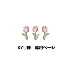 SY♡ 様　専用ページ　まとめ売り
