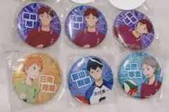 ハイキュー 思い出シャイニー缶バッジ
