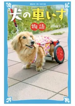 Item thumbnail for item 144eab2d-1b57-4cc0-8570-4b7ccc1bed3c