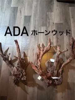 2026年最新】ホーンウッド adaの人気アイテム - メルカリ