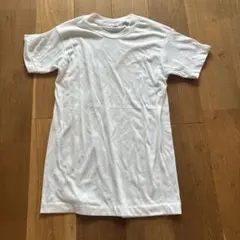 SCREEN STARS ホワイト 半袖Tシャツ S