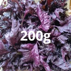 赤しそ　赤紫蘇　200g. 258のサムネイル