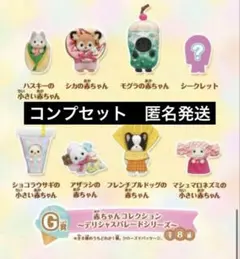 シルバニア　キラキラくじ G賞　コンプリート