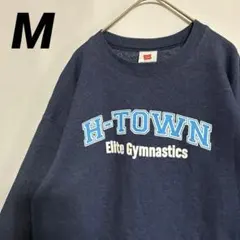 古着 USA古着 スウェット　ヘインズ　ネイビー　M 企業ロゴ