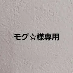モグ⭐︎様 リクエスト 2点 まとめ商品