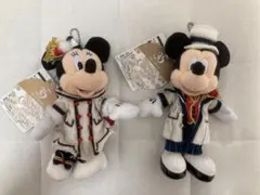 ディズニーイッツクリスマスタイム 2018 35周年 ミッキーミニーぬいぐるみ