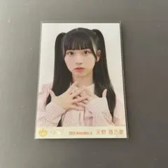 Item thumbnail for item 6ea88b3e-1d82-49a6-b618-6c867fcc30e7