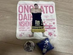 大相撲　大の里　ガチャ　UFOキャッチャーのサムネイル