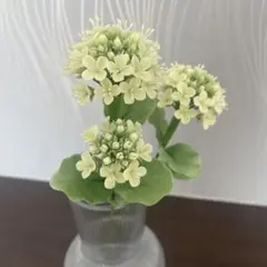 Item thumbnail for item 0036c684-5cb3-4788-92f7-ae1599d8d530