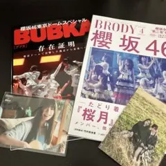 Item thumbnail for item ae3fd247-e340-402f-8e50-0beb80ac9bcb