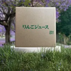 【数量限定価格！】青森県産りんごジュース 720ml 12本セットのサムネイル