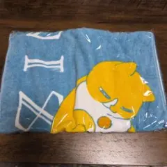 Eve 廻人 管理人さんのネコタオル