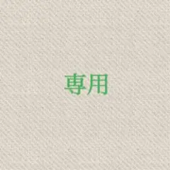 ★OKM様専用★Patagonia★
