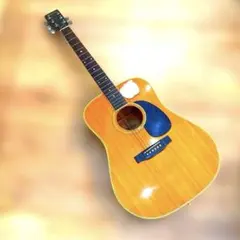 エリートbyタカミネ＜TW-40G＞70年代・日本製・単板・ギャラガーモデル