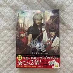 Item thumbnail for item d3da55c5-bf9d-4e17-839d-b096c0a32b55