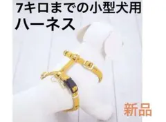 Item thumbnail for item 7f70e102-d57f-40aa-98f3-04d8b1454c1a