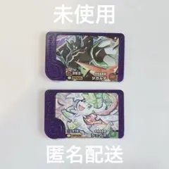 ジガルデ　シェイミ　ポケモンフレンダ　ベストタッグ４弾　スーパートレジャー　星５