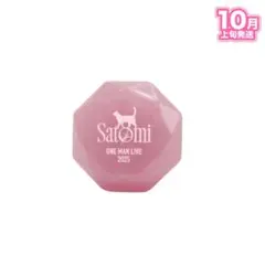 すとぷりLIVE特典リングライト10個セット すとぷりLIVE特典リングライト10個セット すとぷりLIVE特典
