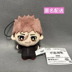 2026年最新】呪術廻戦ちみっともぬいの人気アイテム - メルカリ