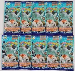 【匿名配送】新品未開封　鳥羽水族館　コレクションカード　コレカ　10パック