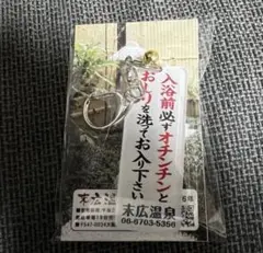 Item thumbnail for item 00942dc5-d832-461f-a31b-cfa299935a0f