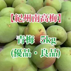 無肥料無農薬 青梅 「古城」 5キロ 【2】 - メルカリ
