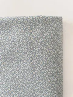 0.5m C&Sリトルマーガレット スモークブルー