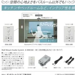 ONKYO オンキョー ウォールマウントオーディオシステム (A-WM300) ONKYO A-WM300 ウォールマウントオーディオシステム - メルカリ