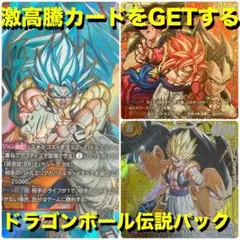 ドラゴンボールカードゲーム フュージョンワールド スーパーパラレル　48パック