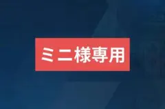 【ミニ様専用ページ】