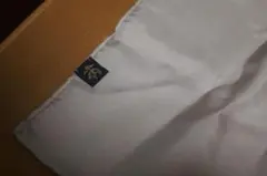 Item thumbnail for item 824a80f4-eca1-4c04-823d-7b7d40862067