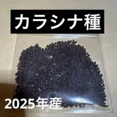 かこ様 リクエスト 2点 まとめ商品