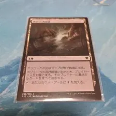 ボジューカの沼/Bojuka Bog 日本語 MTG - メルカリ