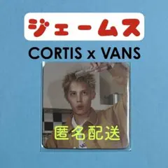 CORTIS x VANS ジェームス 제임스 コルティス ポケットカード