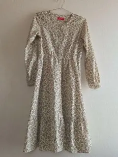 レピピアルマリオ　ワンピース