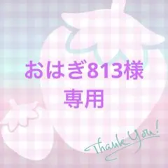 おはぎ813様 リクエスト 2点 まとめ商品