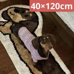 ラグ ミニチュアダックス フロアマット　チョコタン マット 犬 ダックスフンド